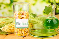 Lenten Pool biofuel availability